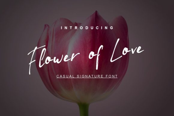 Flower of Love Review