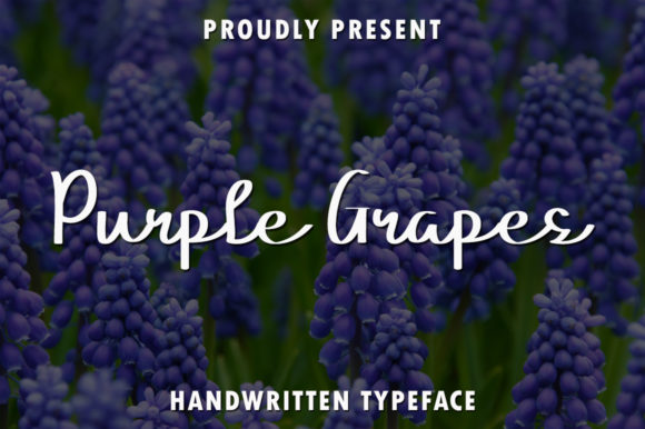 Purple Grapes Font for Creative Design