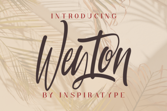 Weyton: A Quirky Script Font
