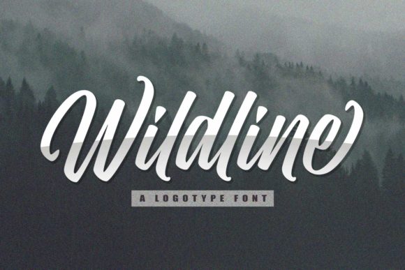 Wildline: A Bold Handwritten Font